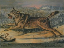 Obraz Franze Richtera na počest ulovení vlka 2. ledna 1830. Foto S. Gryma / © Photo S. Grym