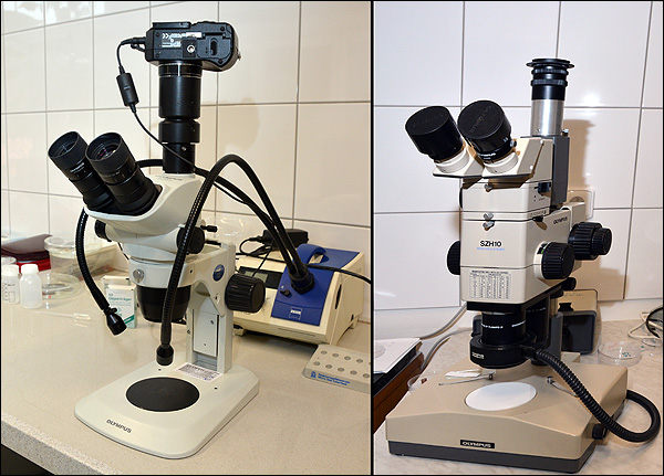 microscopes