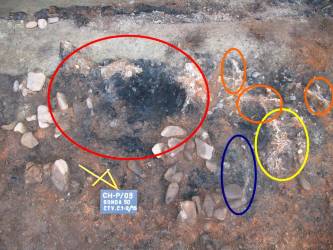 Hradisko Chotěbuz-Podobora: pohled na spáleniště chléva z velkomoravského období. Jsou zde vyznačeny pozůstatky březí krávy (červený ovál), prasete (žlutý ovál), tří ovcí (orazžové ovály) a psa (modrý ovál). 