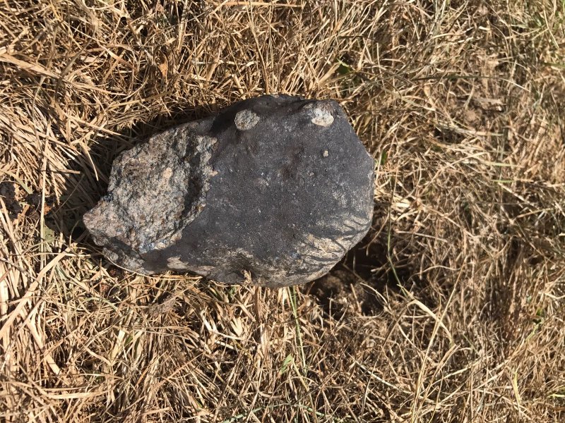 Obrázek 7. Druhý a největší meteorit Renchen (M2) o hmotnosti 955 g nalezený dne 31. července 2018. Snímek byl pořízen těsně po nálezu a kromě meteoritu je vidět i menší jamka, kterou svým dopadem vytvořil. Foto: Ralph Sporn a Martin Neuhofer.