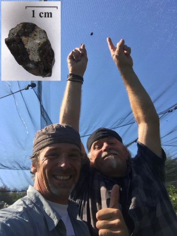 Obrázek 8. 30. září 2018 Ralph Sporn a Martin Neuhofer nalezli další meteorit (M4) o hmotnosti 4.8 g východně od města Renchen, jak je zachycený v síti zakrývající jabloňový sad. Foto: Ralph Sporn a Martin Neuhofer.