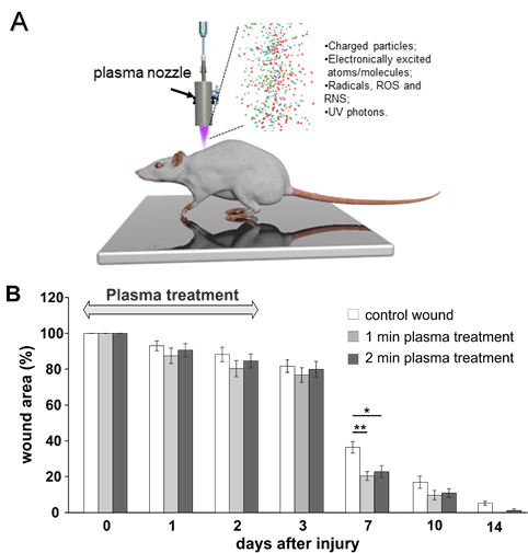 potkan-ntp