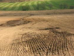 Velkoplošné zemědělství nebere ohled na drobné přírodní prvky – zde přeorané prameniště a zničená drobná vodoteč, kolem nichž žádná úroda stejně nevyroste. Foto Karel Prach