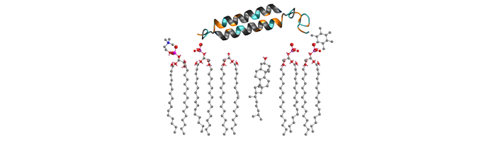 lipids