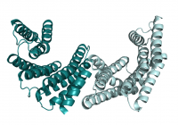 Structural Biology of Signaling Proteins