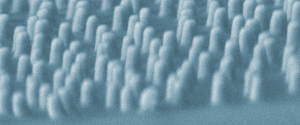 Pole náhodně uspořádaných zlatých nanokuželů připravené koloidní litografií (snímek z el. mikroskopu).