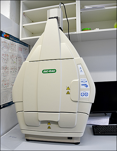   Bio-Rad ChemiDoc MP System 
