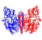 GCPII structure