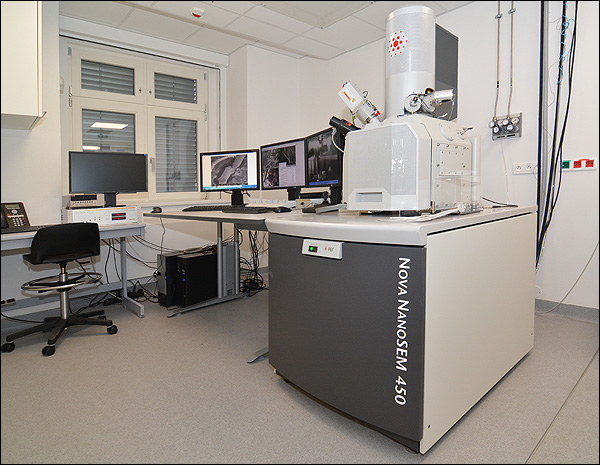 FEI Nova NanoSEM 450