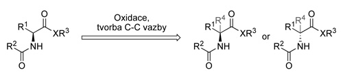 Jahn Oxidative protein modification.jpg