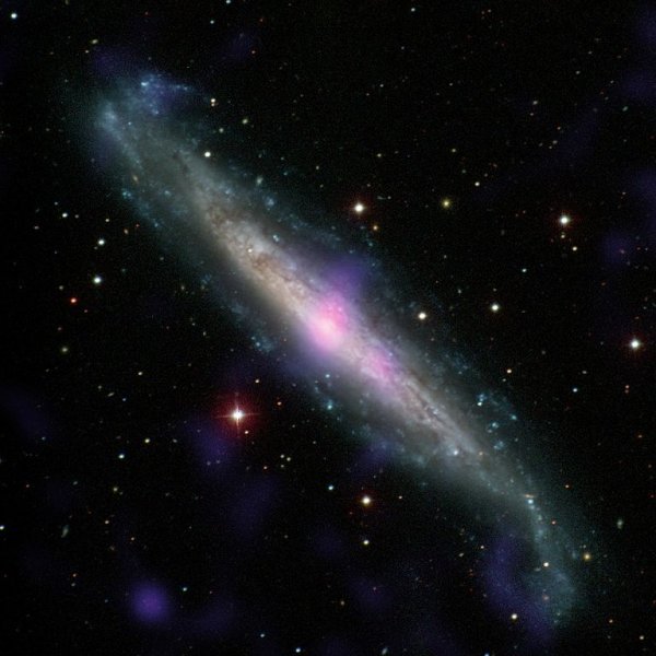Galaxie NGC 1448 hostí ve svém centrum aktivní galaktické jádro. Snímek kombinuje pohled na galaxii v optickém oboru z přehlídky Carnegie-Irvine Galaxy Survey a rentgenový obraz pořízený z družice NuSTAR. V okolí jádra nalezneme velké množství různých struktur, mezi nimi i koronu aktivního jádra, která je původcem značné části rentgenového záření. 