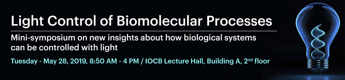 Light Control of Biomolecular Processes