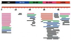 Schematické znázornění výsledků generovaných programem BLAST, který je určen pro hledání příbuzných sekvencí DNA nebo proteinu v databázi. Na obr. je vidět analýza DNA o délce asi 5 000 písmen - nukleotidů (jasně červená úsečka v horní části obr.). Barevné úsečky ve spodní části obrázku ukazují, ke kterým úsekům analyzované DNA existuje v databázi DNA podobná. Barvou je znázorněna míra této podobnosti (červená - nejvíce podobná, černá - nejméně podobná, číselně vyjádřeno v horní části obrázku). Orig. J. Pačes / © J. Pačes