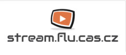 stream.flu web