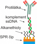 Ukotvení pomocí DNA