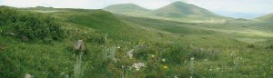 Typická krajina nižších partií  vulkanických pohoří nad jezerem Sevan. Na rovinatých pláních v nadmořské  výšce okolo 2 000 m se rozkládají obilná pole s bohatými plevelovými společenstvy a na svazích pestrá vysokobylinná vegetace s prvky stepí, vysokobylinných niv a mezofilních luk. Snímky L. a E. Ekrtovi