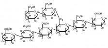 Stuktura polysacharidu betaglukanu. Z archivu P. Šímy