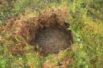 Věčně zmrzlá půda (permafrost)  rozmrzá ve středním Jakutsku  každé léto až do hloubek přes 2 m,  ale pokud je na vlhkých údolních  dnech půda tepelně izolována  vrstvou mechu, může být i v srpnu  led jen několik centimetrů  pod povrchem. I na tomto stanovišti  však roste les v podobě rozvolněného porostu modřínu Cajanderova  (L. cajanderi). Foto M. Chytrý