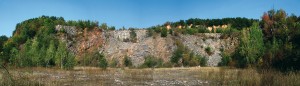 V lomu Solvay byla těžba ukončena v r. 1963. Přirozená sukcese zde již postoupila – vzrostlejší stromy a křoviny vytvářejí stanovištní mozaiku s otevřenými plochami, jako jsou sutě nebo výsušné dno lomu, na němž se ale drží po část roku voda v hlubších kalužích  až malých jezerech. Foto A. Kocurková