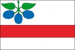 Jediná mluvící vlajka se švestkami z r. 2004 náleží obci Horní Slivno v okrese Mladá Boleslav.