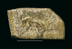 Hlodavec z Valče – jeden z největších paleontologických unikátů v Evropě 17. stol.  Nález zmiňují a zobrazují ve svých spisech největší kapacity té doby, např. Carl Linné, Georges Cuvier, Hermann von Meyer. Deska jemně vrstevnatého sladkovodního vápence  objevená kolem r. 1690 patří k nejstarším známým nálezům fosilního savce. Byla tehdy  hledaným sběratelským předmětem, protože představovala suchozemského „svědka  biblické potopy“. Vystřídala řadu soukromých sbírek, dnes je uložena v sídle rodiny  Schönburgů ve Waldenburgu u města Glauchau v Sasku. Foto O. Fejfar