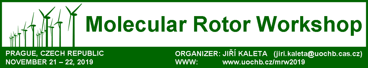 Molecular Rotor Workshop 2019
