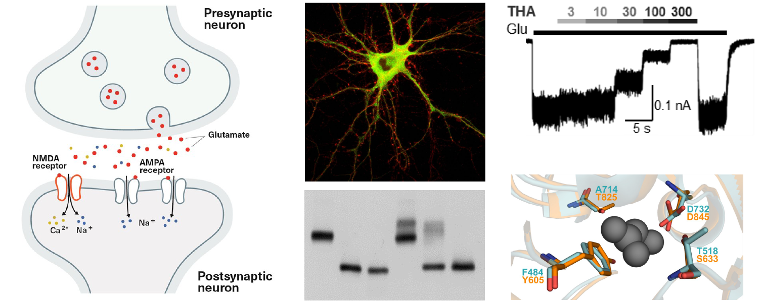 2019-nabor-neurochemie-6