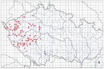 Historické rozšíření hořečku drsného Sturmova v ČR na základě herbářových dokladů. Doplněno podle: L. Kirschnerová a J. Kirschner (1997) a J. Brabec (2010)