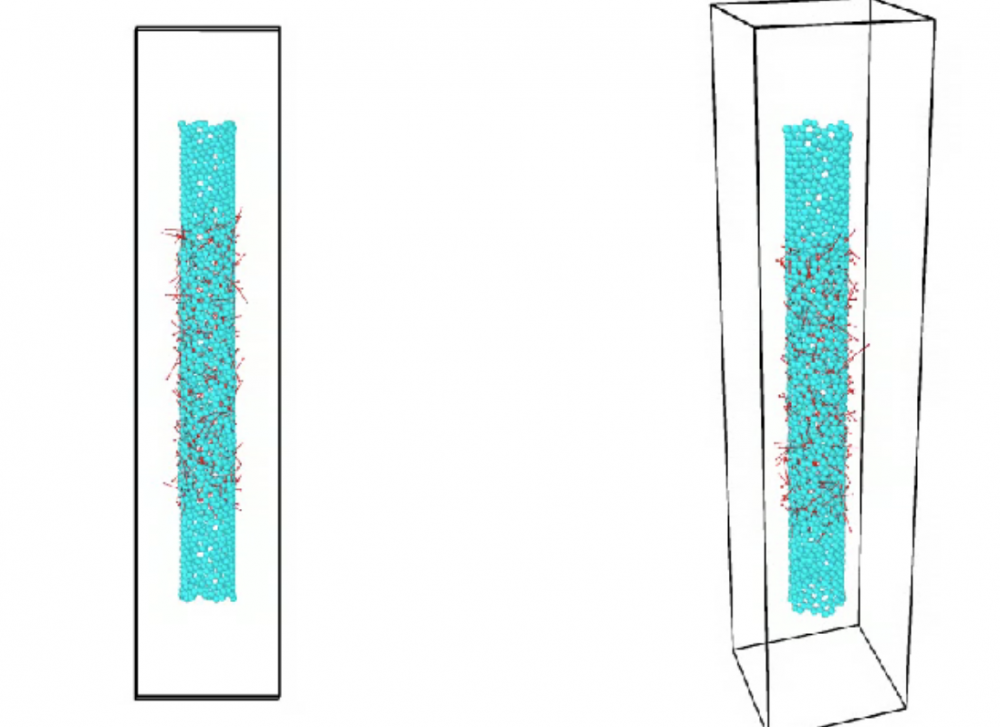 carbon nanotubes