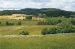 Převážně zemědělsky využívaná  krajina v okolí Chvalšin s relativně zachovanými prvky tradičního rázu. CHKO Blanský les. Foto M. Paloudová