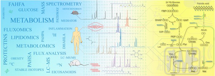 Metabolismus bioaktivních lipidů