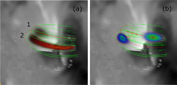 3D model dvojice smyček magnetického pole vyplněné plazmatem termálním (vlevo) a netermálním (vpravo) v čase 3:50:28 UT. Linie naznačují tvar siločar magnetického pole, barvy pak prostorové rozložení přehřátého plazmatu nebo netepelných elektronů. 