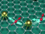 Illustration of spin dependent transport in gold decorated graphene