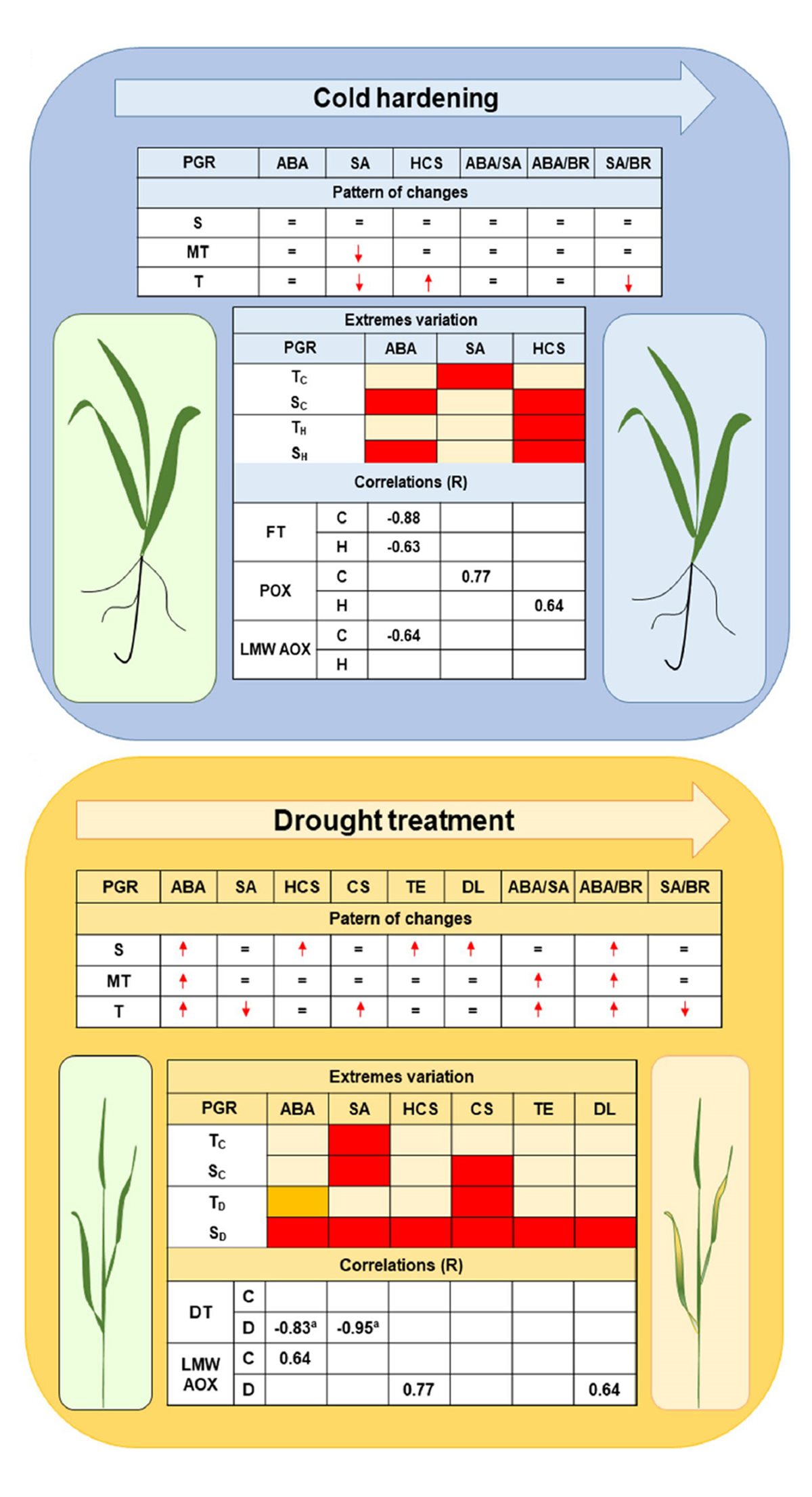 New publication: Involvement of homocastasterone, salicylic and abscisic acids in the regulation of drought and freezing tolerance in doubled haploid lines of winter barley