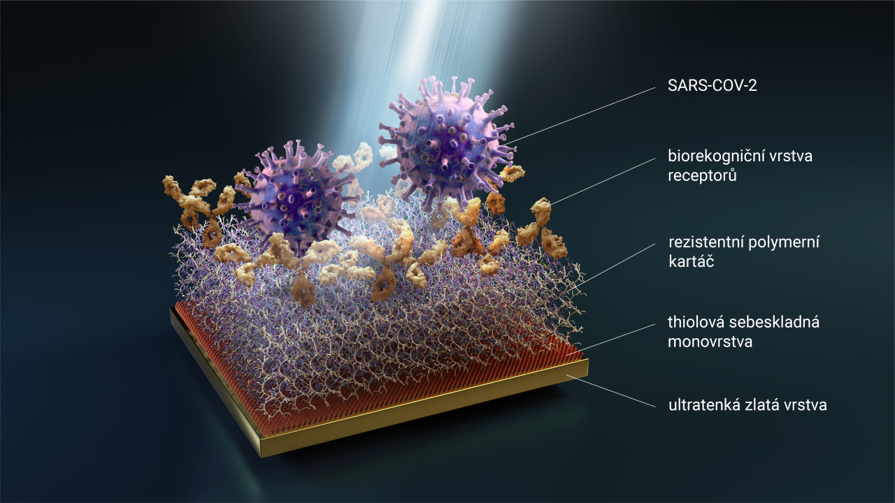 Znázornění struktury funkčních ultra-rezistentních polymerních biočipů.  Autor: Daniel Špaček 