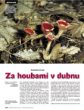 Za houbami v dubnu (Vesmír, č. 4, 2007)