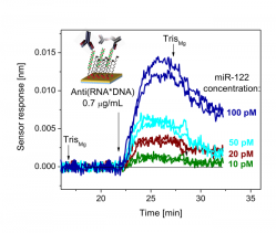 Detection of miRNA-122 (marker of liver damage) using an SPR biosensor and sandwich assay.