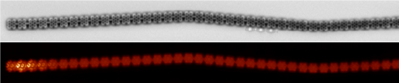 Struktura vodivého 1D polymeru pohledem mikroskopie atomárních sil (nahoře). Snímek z rastrovacího tunelového mikroskopu, který ukazuje tzv. volné elektronové radikály na konci polymeru (dole). (autor snímku B. de la Torre)