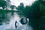 Past na semena plovoucí na vodní hladině umístěná v řece Cidlině. Foto T. Fér