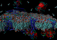 Laboratory of Neurochemistry