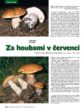 Za houbami v červenci (Vesmír, č. 7/2007)