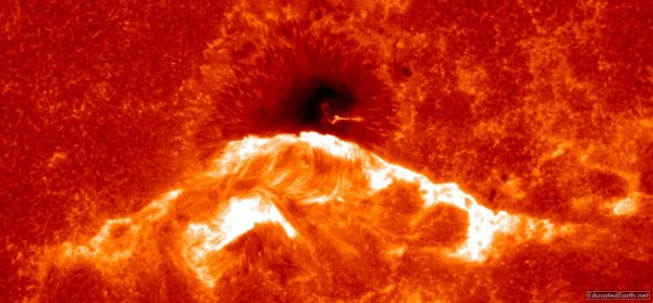 Záběr z družice Hinode zachycující vzhled vláken erupce z 13. prosince 2006, která byla erupcí pozorovatelnou i v bílém světle. Na tomto snímku pořízeném ve vápníkové čáře jsou kromě vláken erupce viditelné i tenké poerupční smyčky. Je možné, že na eruptivních hvězdách jsou podobné smyčky významným zdrojem záření ve viditelném oboru přispívajícím k celkovému záření registrovanému v průběhu erupce. 