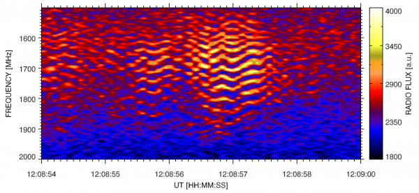 Rádiové spektrum zobrazující zebru ze 14. února 1999.