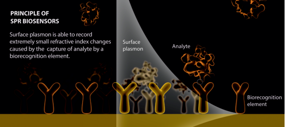 Principle of SPR Biosensors