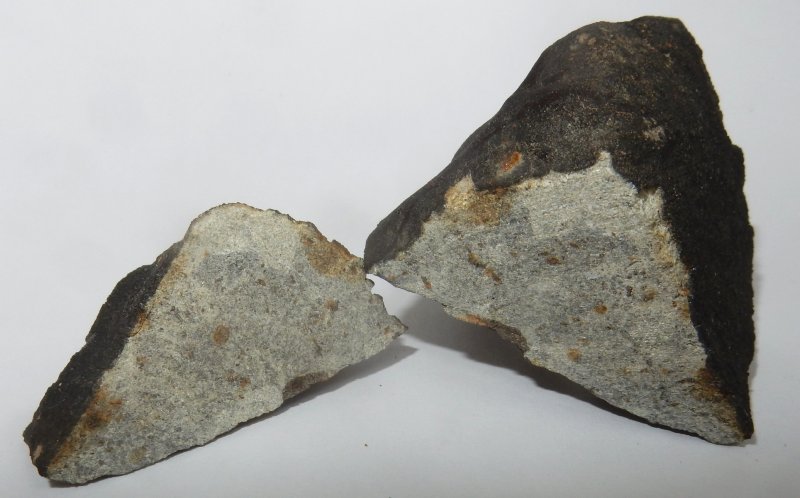 Obrázek 4. Meteorit Hradec Králové, který nalezl 30. 7. 2016 pan M. Maršík přesně ve vypočtené pádové oblasti. Na snímku je tento meteorit krátce po rozříznutí na dvě části – 22g (vlevo, deponován pro vědecké účely v Astronomickém ústavu AV ČR) a 109 g (vpravo, vrácen nálezci). Meteorit byl klasifikován jako obyčejný chondrit typu LL5. (foto: Pavel Spurný, Astronomický ústav AV ČR).