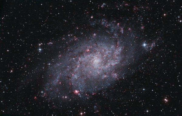 Galaxie M33 na snímku Alexandera Melega. CC BY-SA 3.0