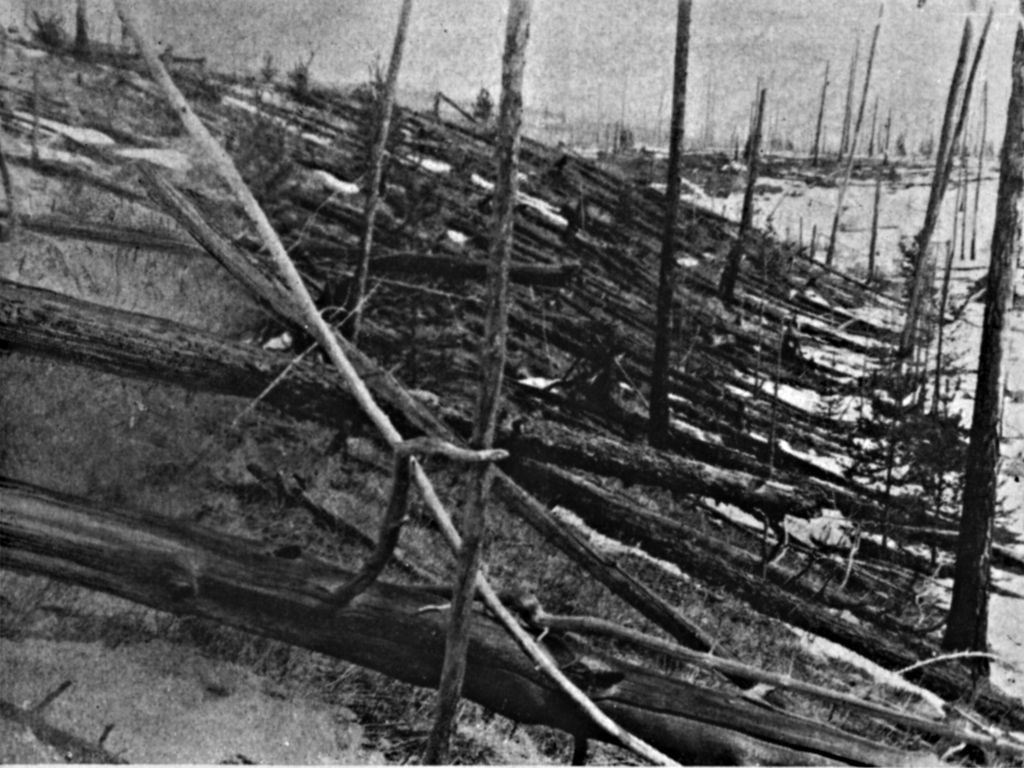 Snímek vyvrácených stromů pod místem výbuchu, který pořídil L. Kulik při první výpravě roku 1927.