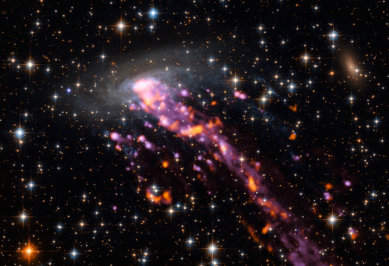 Medúzovitá galaxie ESO 137-001. Kredit: ESO
