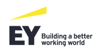 Ernst & Young - hlavní partner portálu Vědavýzkum.cz