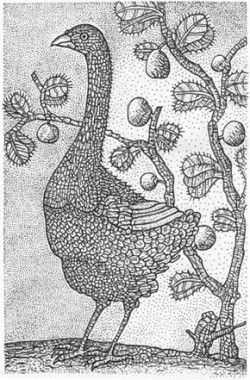 Dodo samotář (Pezophas solitaria) z ostrova Rodriguez podle F. Leguata z r. 1708. Orig. M. Chumchalová / © Orig. M. Chumchalová